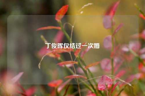 丁俊晖仅结过一次婚
