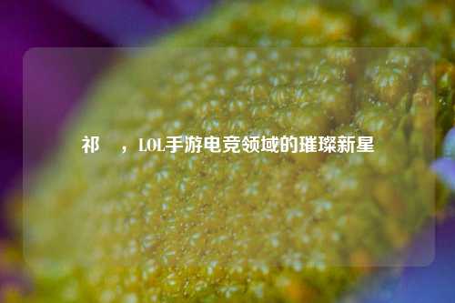 祁汌，LOL手游电竞领域的璀璨新星