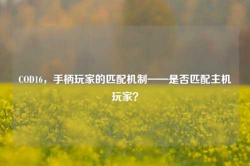 COD16,手柄玩家的匹配机制——是否匹配主机玩家?
