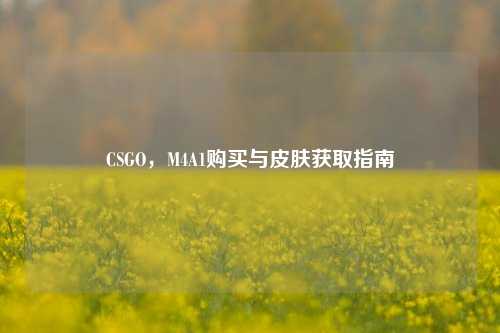 CSGO，M4A1购买与皮肤获取指南