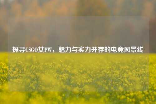 探寻CSGO女PW,魅力与实力并存的电竞风景线