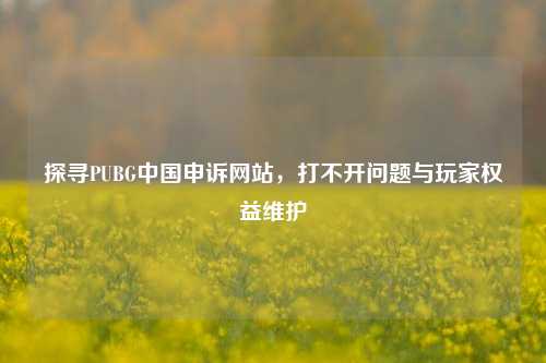 探寻PUBG中国申诉网站，打不开问题与玩家权益维护