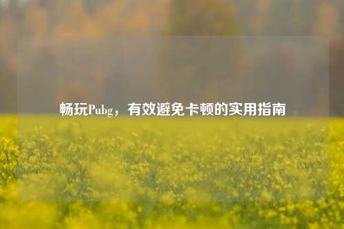 畅玩Pubg，有效避免卡顿的实用指南