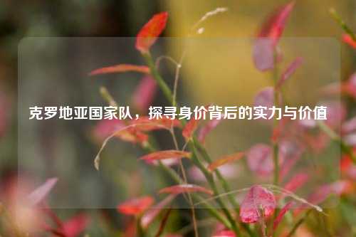 克罗地亚国家队，探寻身价背后的实力与价值