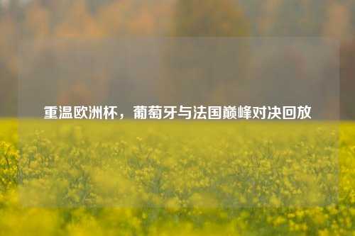 重温欧洲杯,葡萄牙与法国巅峰对决回放