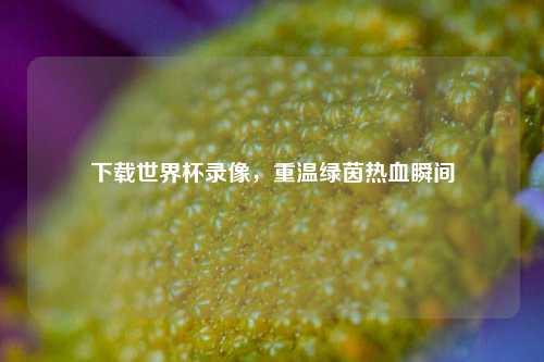 下载世界杯录像,重温绿茵热血瞬间