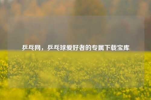乒乓网，乒乓球爱好者的专属下载宝库