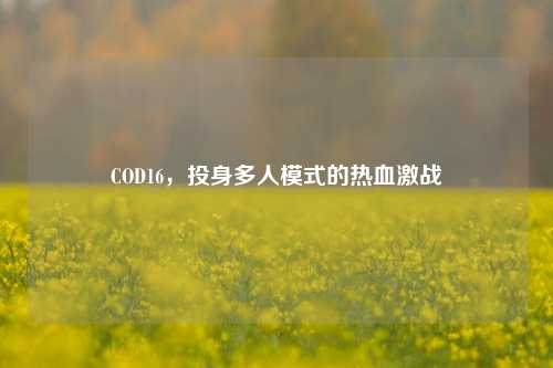 COD16,投身多人模式的热血激战