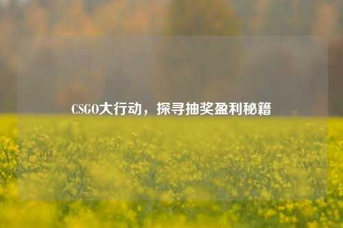 CSGO大行动，探寻抽奖盈利秘籍