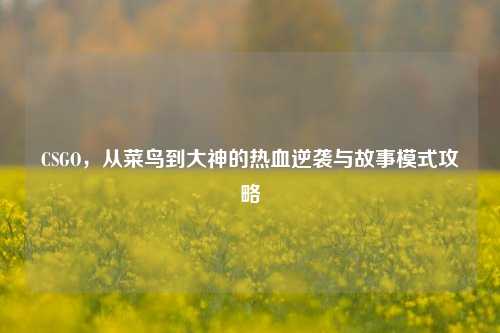 CSGO,从菜鸟到大神的热血逆袭与故事模式攻略