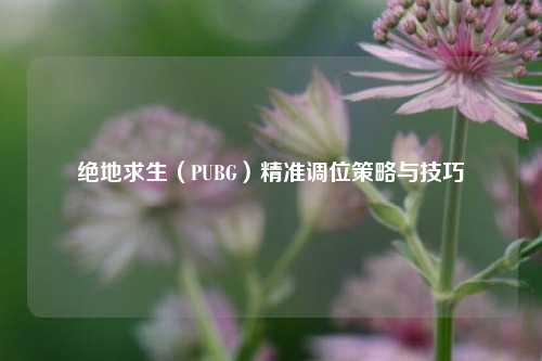 绝地求生(PUBG)精准调位策略与技巧