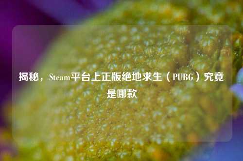 揭秘,Steam平台上正版绝地求生(PUBG)究竟是哪款