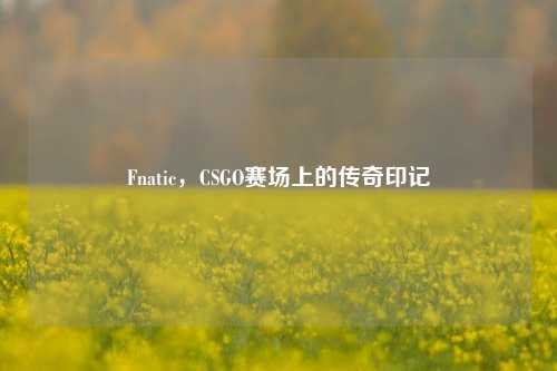 Fnatic,CSGO赛场上的传奇印记