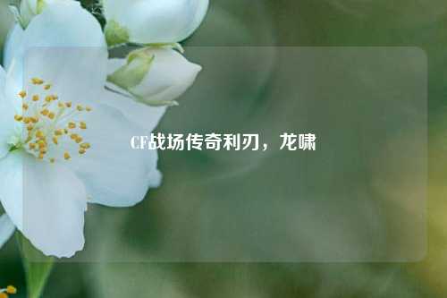 CF战场传奇利刃,龙啸