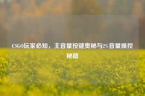 CSGO玩家必知，主音量按键奥秘与2%音量操控秘籍