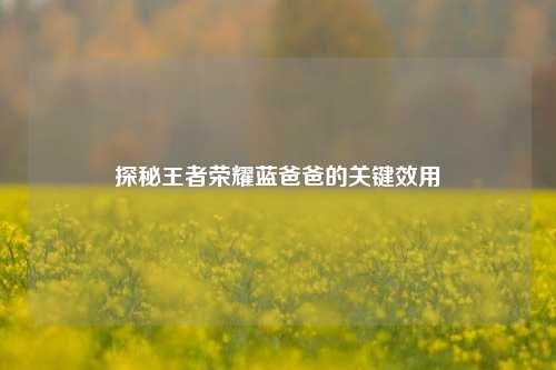 探秘王者荣耀蓝爸爸的关键效用