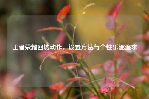 王者荣耀回城动作,设置方法与个性乐趣追求