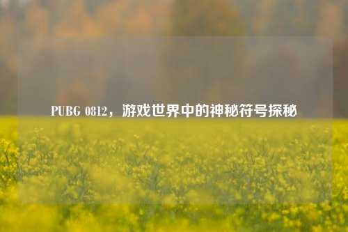 PUBG 0812,游戏世界中的神秘符号探秘