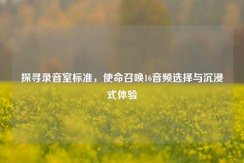 探寻录音室标准,使命召唤16音频选择与沉浸式体验