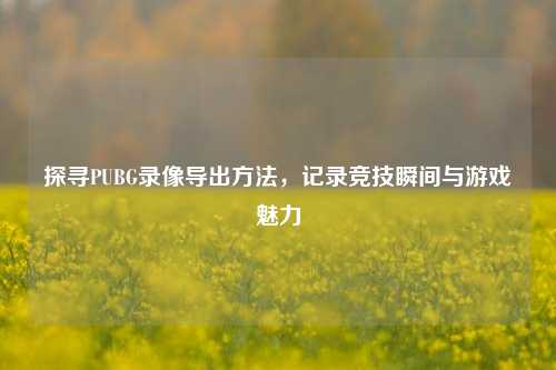 探寻PUBG录像导出方法,记录竞技瞬间与游戏魅力