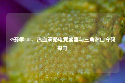 S9赛季LOL，热血策略电竞盛宴与三角洲口令码探寻