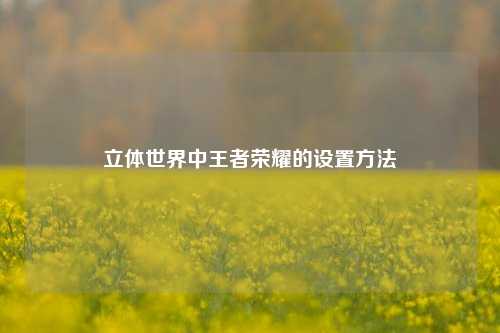 立体世界中王者荣耀的设置方法