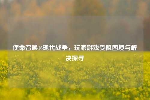 使命召唤16现代战争,玩家游戏受阻困境与解决探寻