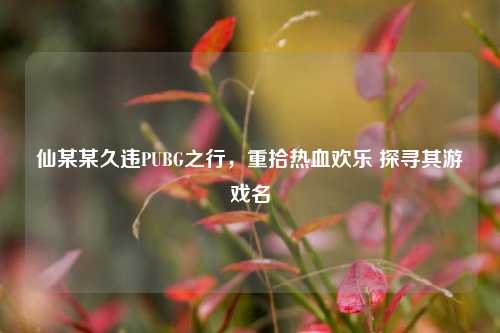 仙某某久违PUBG之行,重拾热血欢乐 探寻其游戏名
