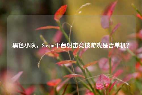 黑色小队，Steam平台射击竞技游戏是否单机？