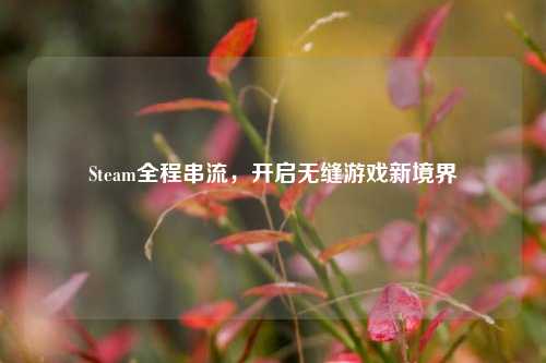 Steam全程串流,开启无缝游戏新境界