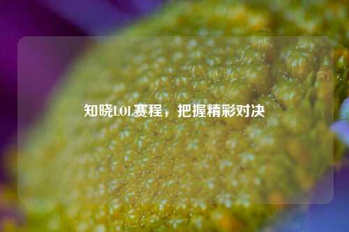 知晓LOL赛程,把握精彩对决