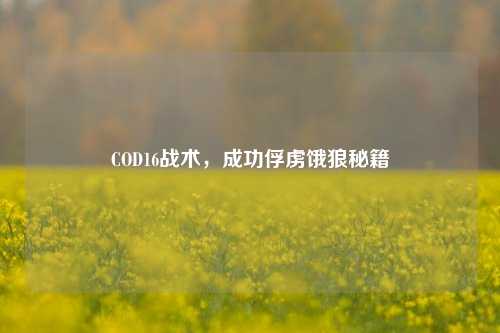 COD16战术，成功俘虏饿狼秘籍