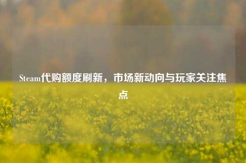 Steam代购额度刷新,市场新动向与玩家关注焦点