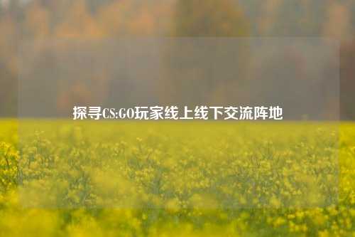 探寻CS:GO玩家线上线下交流阵地