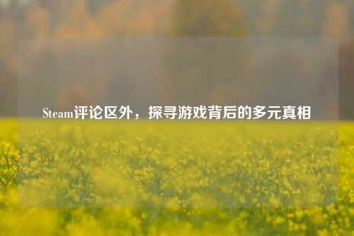 Steam评论区外，探寻游戏背后的多元真相