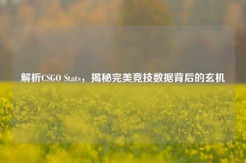 解析CSGO Stats，揭秘完美竞技数据背后的玄机