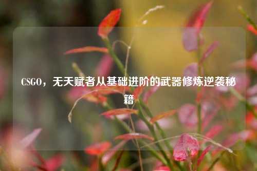 CSGO，无天赋者从基础进阶的武器修炼逆袭秘籍