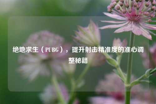 绝地求生(PUBG),提升射击精准度的准心调整秘籍