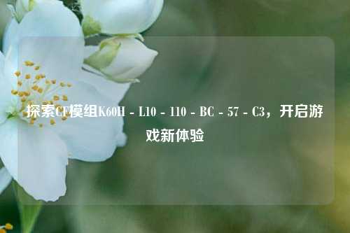 探索CF模组K60H - L10 - 110 - BC - 57 - C3,开启游戏新体验
