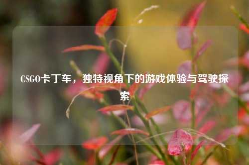 CSGO卡丁车,独特视角下的游戏体验与驾驶探索