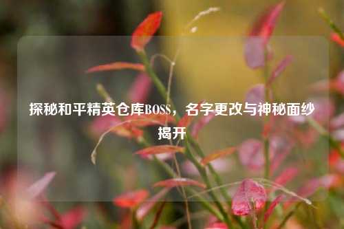 探秘和平精英仓库BOSS，名字更改与神秘面纱揭开