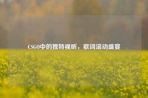 CSGO中的独特视听，歌词滚动盛宴