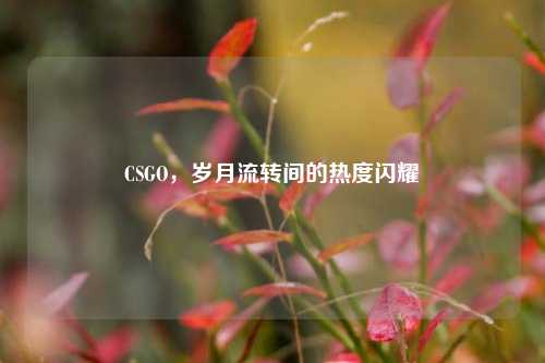 CSGO,岁月流转间的热度闪耀