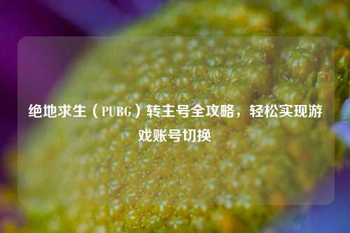 绝地求生(PUBG)转主号全攻略,轻松实现游戏账号切换