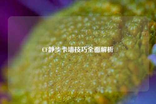 CF静步卡墙技巧全面解析