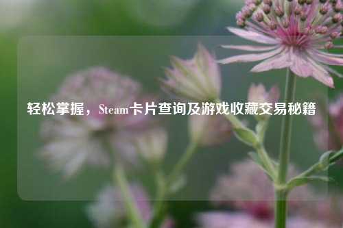 轻松掌握,Steam卡片查询及游戏收藏交易秘籍