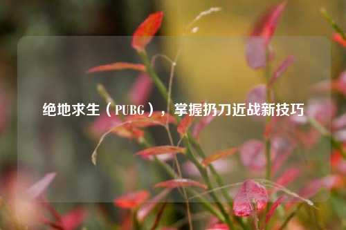 绝地求生(PUBG),掌握扔刀近战新技巧
