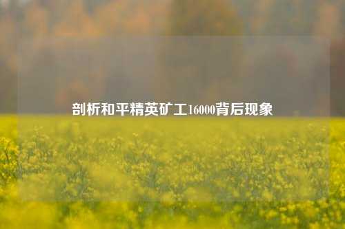 剖析和平精英矿工16000背后现象