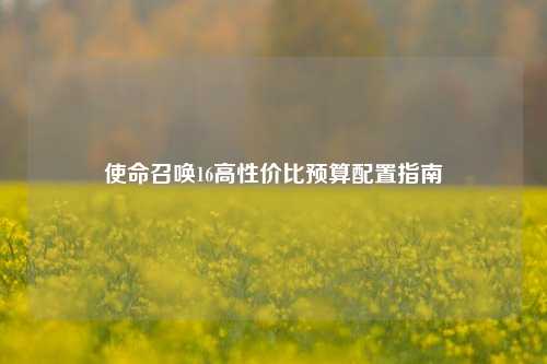 使命召唤16高性价比预算配置指南