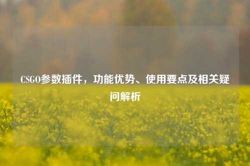 CSGO参数插件,功能优势、使用要点及相关疑问解析